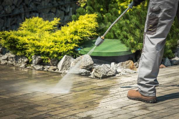 Best Soft Washing for Delicate Surfaces in Oquawka, IL
