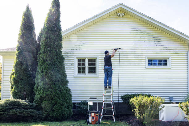 Best Building Exterior Pressure Washing in Oquawka, IL